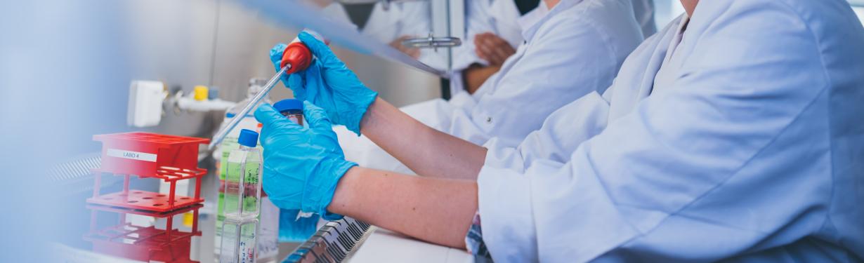 Studenten Biomedische Laboratoriumtechnologie in het labo