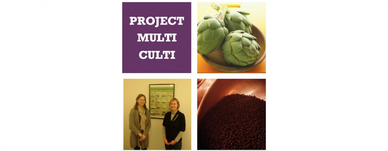 multi-culti project