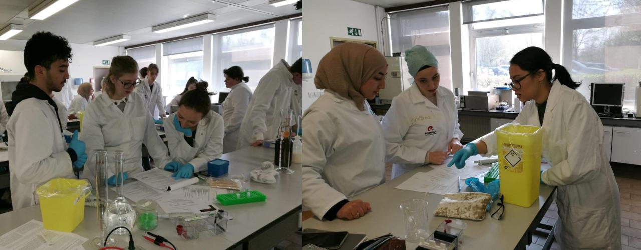 Studenten biomedische laboratoriumtechnologie EhB