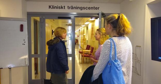 Docenten verpleegkunde naar Zweden EhB